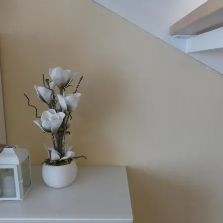 Townhouse Modern/ruhig/kostenlose Parkmoeglichkeiten Appartement Cassel